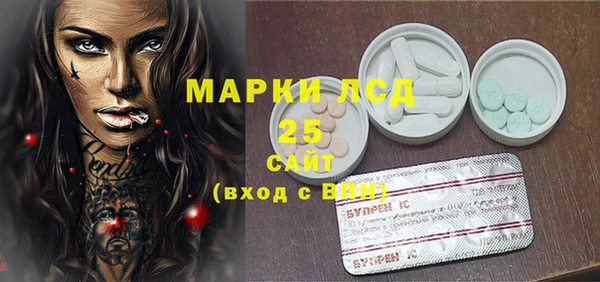 гашик Аркадак