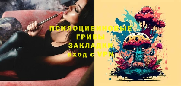 ешки Арсеньев